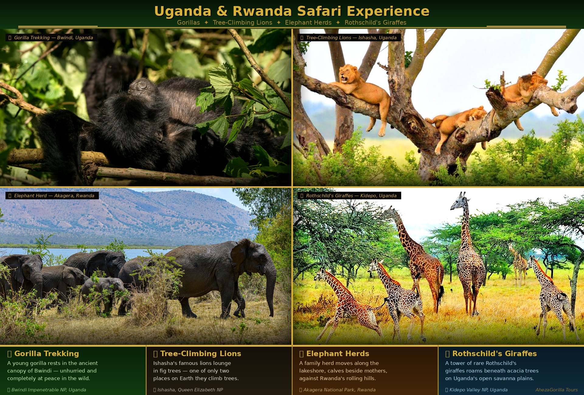 Uganda–Rwanda Wildlife Safari
