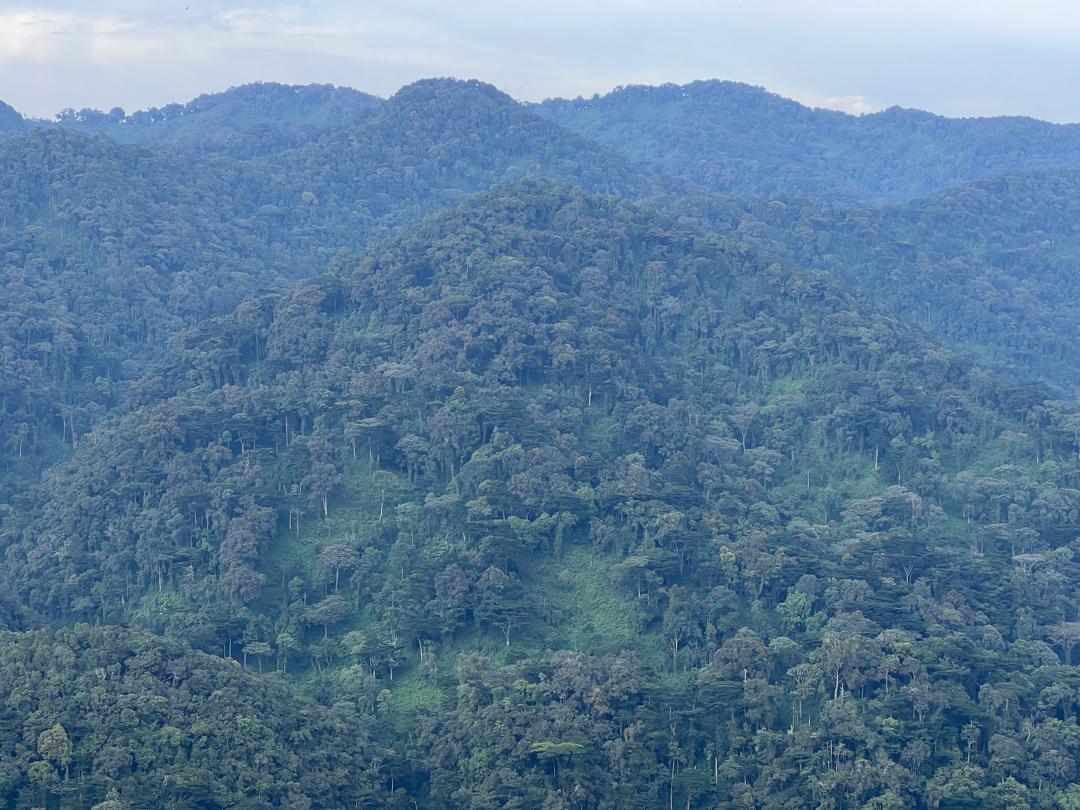 bwindi