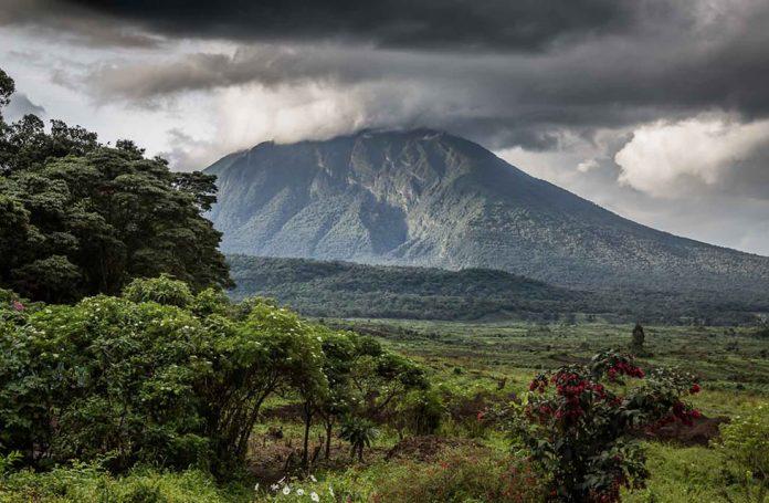 3 Days Rwanda Gorilla Trekking Safari