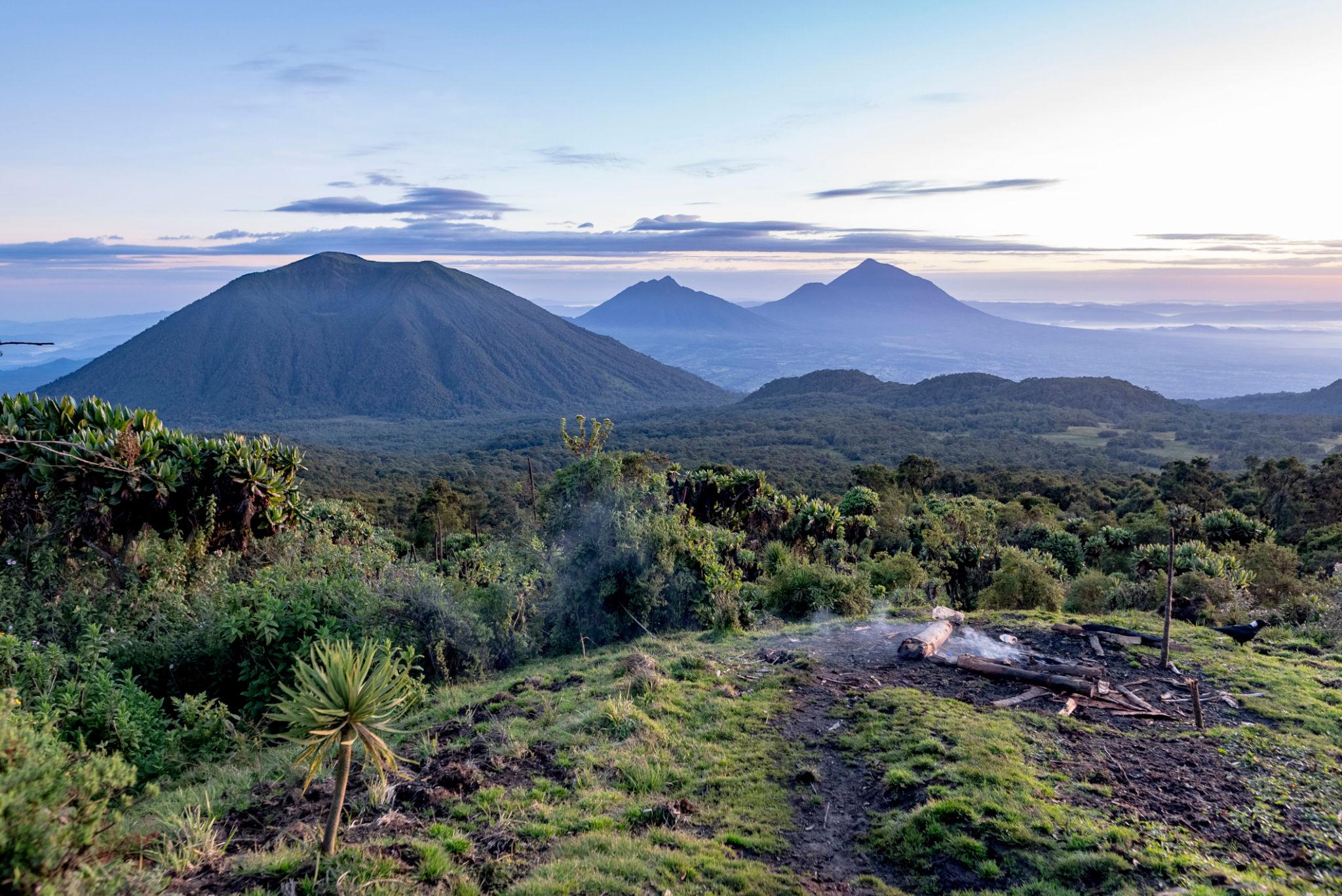 09 Days Rwanda & Uganda Gorilla & Wildlife Safari