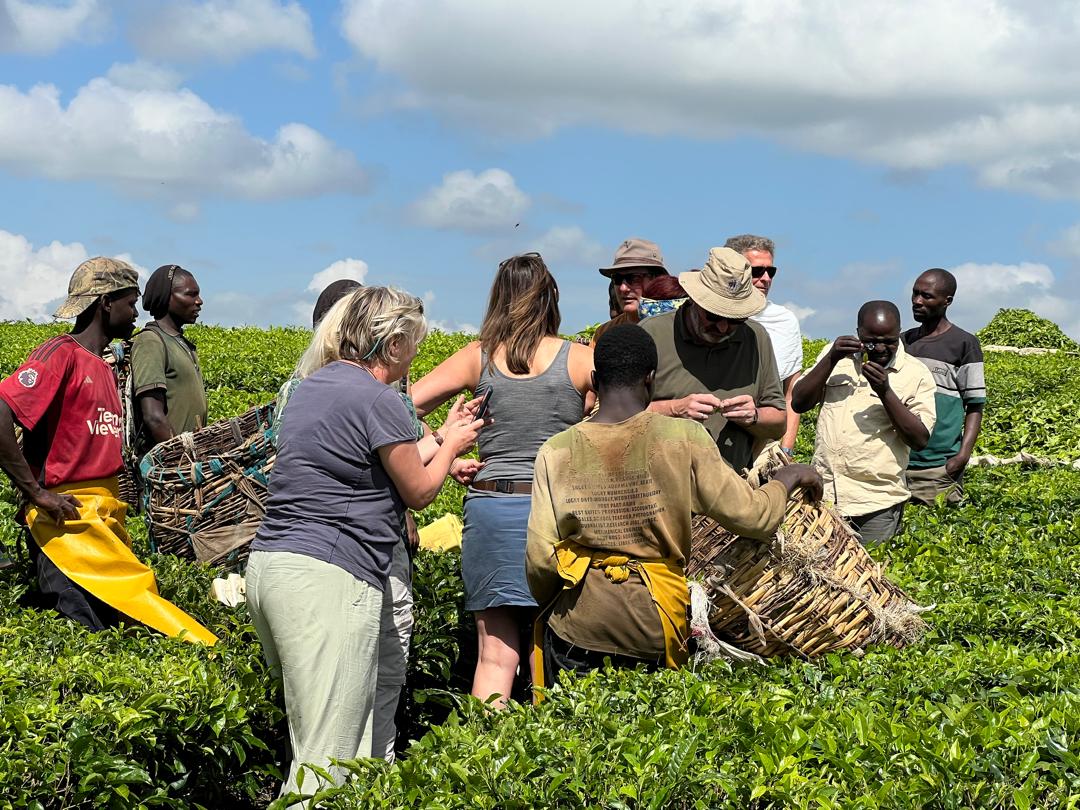 About Aheza Gorilla Tours